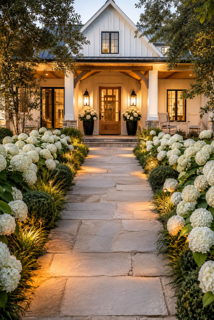 Luxury white farmhouse with a limestone front walkway lined with white hydrangeas, lush landscaping, and warm path lighting.